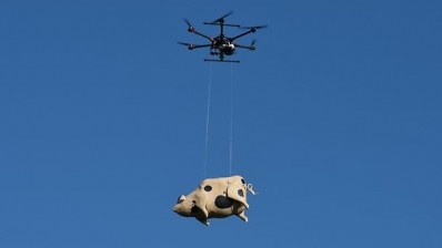 Pigs can fly? Orchard Pig cider launches unique drone delivery service