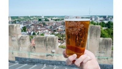 Big variety: 234 beers were on offer from 36 breweries at this year's City of Ale festival