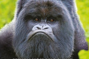 The Grumpy Gorilla campagn will run in London and Edinburgh