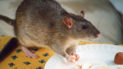 Wetherspoons said it could not confirm that a rat ran up a customer's trouser leg 