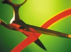Red tape: major concern for industry