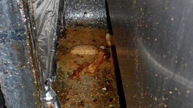 Food hygiene: environmental health officers found mouldy food at the Bull Inn, Gristhorpe, in North Yorkshire 