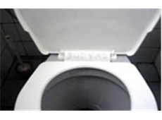 Pub toilet scheme gears up for action