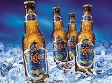 Tiger Beer: S&N will distribute from 2 March
