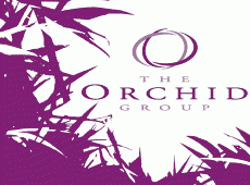 Orchid: food sales drive growth