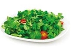 A nice healthy salad