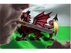 Trade chief fears for Welsh pubs