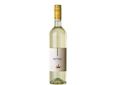 Bodega Septima: new Sauvignon Blanc