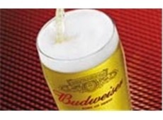 Bud stays Premier beer until 2010