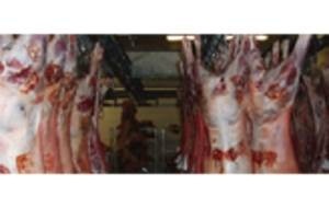 Meat is hung to mature and enhance flavour