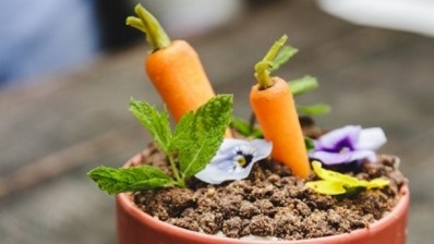 Sweet illusion: carrot cake dessert raises lots of lolly for Barnardo's