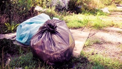 Litter lout: ex-landlady guilty of fly-tipping (stock photo credit: France68/iStock/thinkstock.co.uk)
