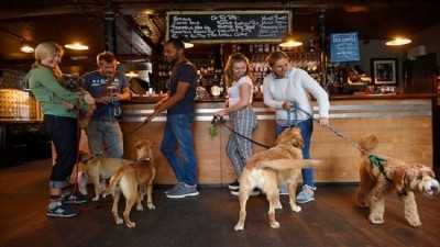 Pooches and punters: DogBuddy has launched its third annual Dog-friendly Pub Awards
