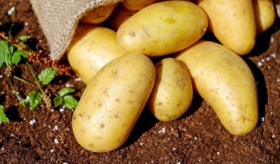 Weather fallout: a poor potato harvest will mean higher prices