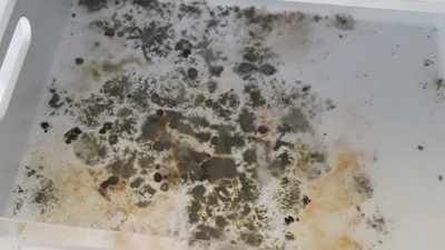 Hygiene failures: the Norton pub pleaded guilty after council officers found its kitchen in a filthy condition 