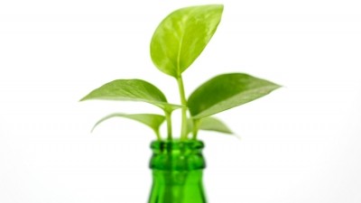 Sustainable drinks: how is the drinks industry demonstrating its green credentials