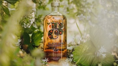 Waste initiative: Black Cow uses leftover strawberries for its new vodka variant
