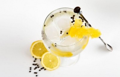 Up and away: gin sales are on the rise