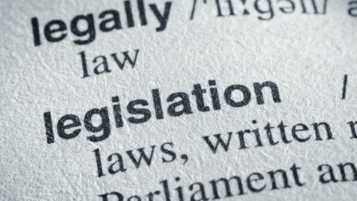 Legal progression: the draft bill will be subject to pre-legislative scrutiny (image: Getty/JLGutierrez)