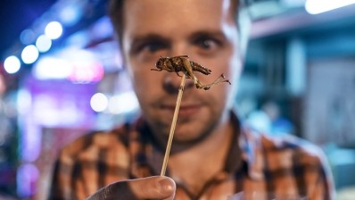 Creepy crawly: the insect trend could be here to stay (image credit: Koldunova_Anna/iStock/Thinkstock.co.uk)