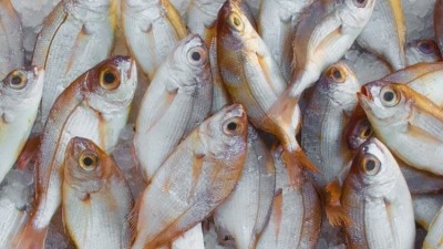Price rise: there is substantial inflation in the fish category due to rising demand, strengthening of the Norwegian Krone and uncertainty over the UK's future fishing quotas