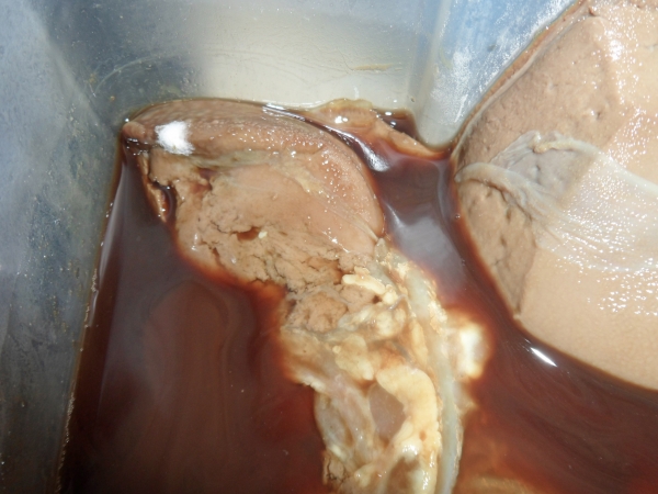 Liver with white mould growth 1