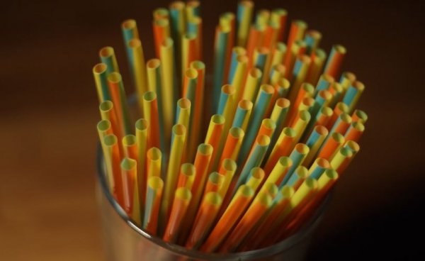1 biodegradable straws