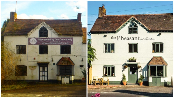 Pheasant - Before and after