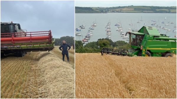 st austell farming collage resized