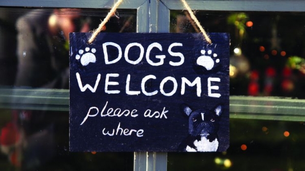 The.Fox.and.Hounds.Dogs.Welcome.Sign
