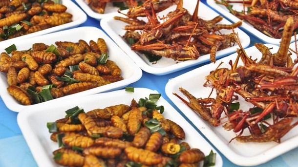 Edible insects: can they crack the market or are we too squeamish to chow down on creepy crawlies?