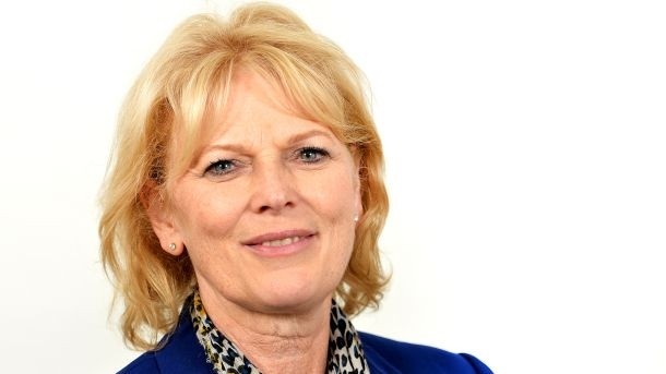 Small business minister Anna Soubry