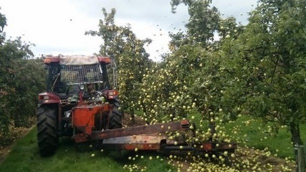 Cider industry 'remains challenging'