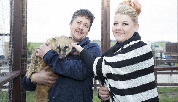 Licensees Andy and Kelly Cowell with coatimundi Basil, a South American racoon