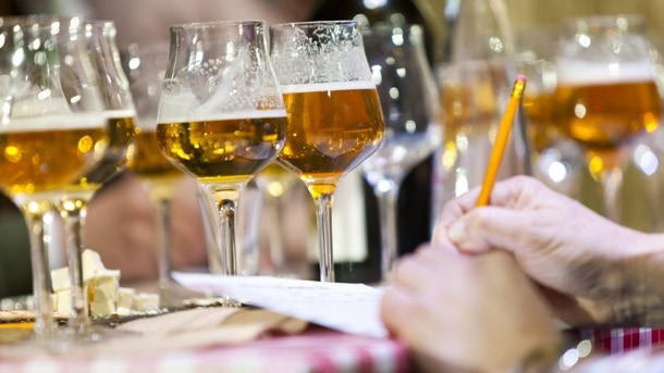 Record: SIBA's beer competition has seen more entries than ever before