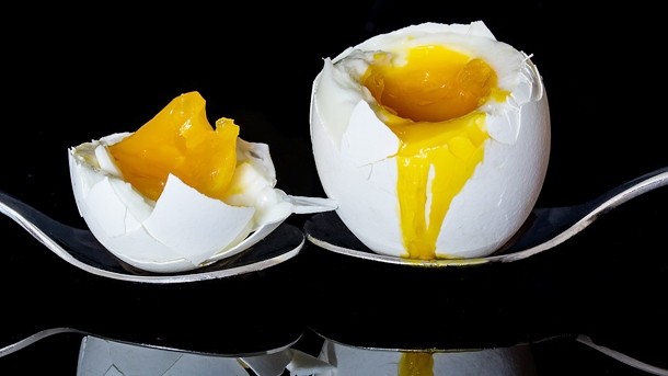 Sharp increase: the number of eggs contaminated with Fipronil rose by 3,233%