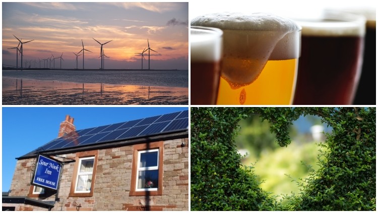 Going green: sustainability is vital to the world – and pubs must be included too