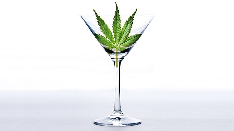 Riding high: Hin Gin's cannabis-infused gin is the UK's first of its kind
