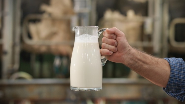 Don't cry over spilt milk: Suppliers drop prices (Getty/ Monty Rakusen)