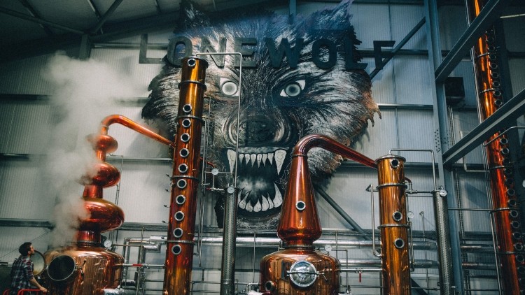 Moving in-house: after almost 18 months under Global Brands, on-trade sales of LoneWolf will return to BrewDog