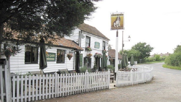 Heir of the dog: a group of businessmen has acquired the Olde Dog Inn in Essex (Image: Derek Voller, Geograph)
