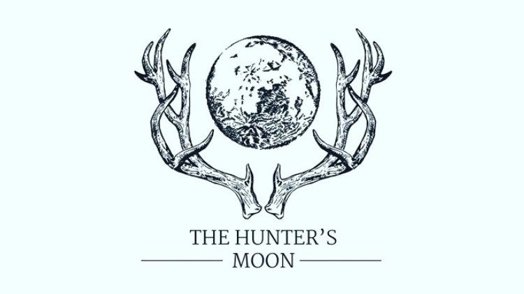 Shoot for the moon: The Lunar Pub Company has announced it will open its first site, The Hunter's Moon, on Fulham Road in west London in September