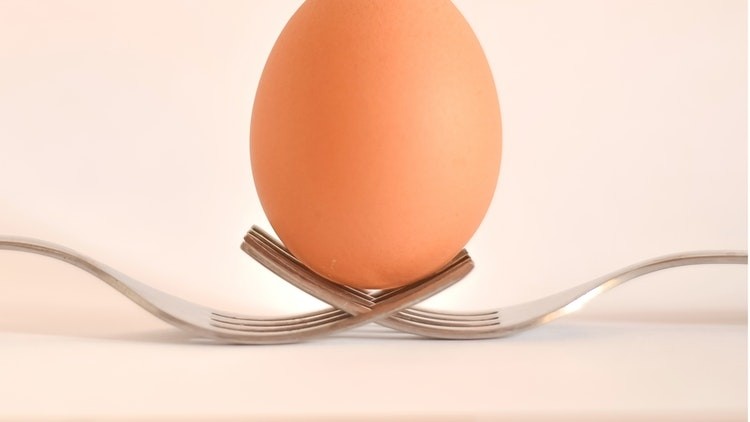 Cracking news: the report found the UK had higher egg production standards than others in Europe