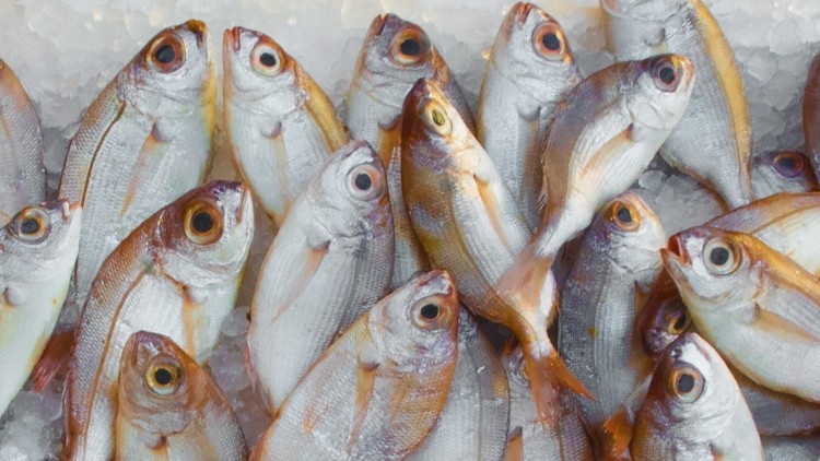 Contentious:  Fish has been something of a controversial issue during the Brexit debate