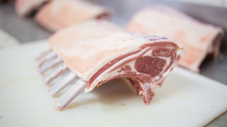 Health issue: lamb and mutton has been affected by a strain of Salmonella (image credit: DewaldKirsten/gettyimages.co.uk)