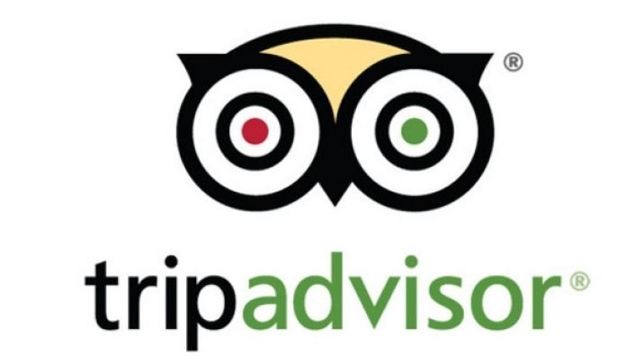 TripAdvisor: the new feature has a 'real-time' feed, allowing operators to see who is interacting with their page