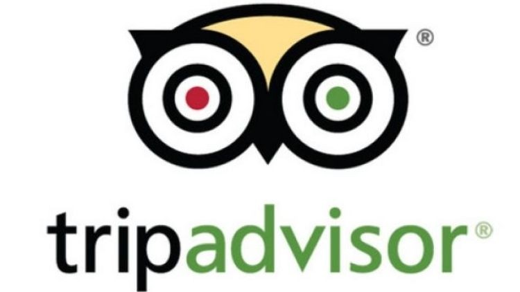 Tell me why: TripAdvisor users have given a plethora of reasons they visit the review site