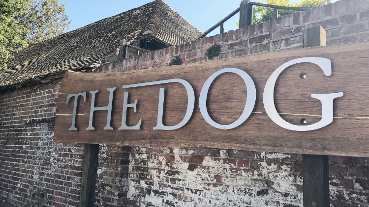 Pack leader: the Dog at Wingham leads the pack with its pub-restaurant-rooms offer