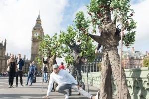 Heineken Helping Britain Bloom urban orchard project