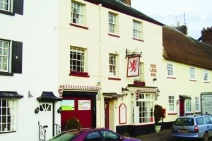 Residents fight to save Red Lion pub in Sidbury